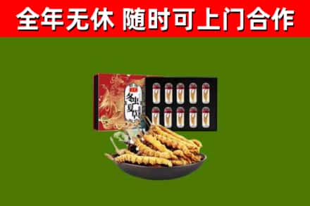 环翠区烟酒回收冬虫夏草礼盒.jpg