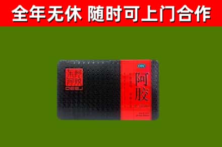 环翠区回收阿胶