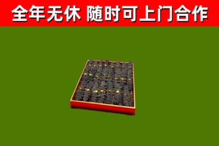 环翠区回收海参